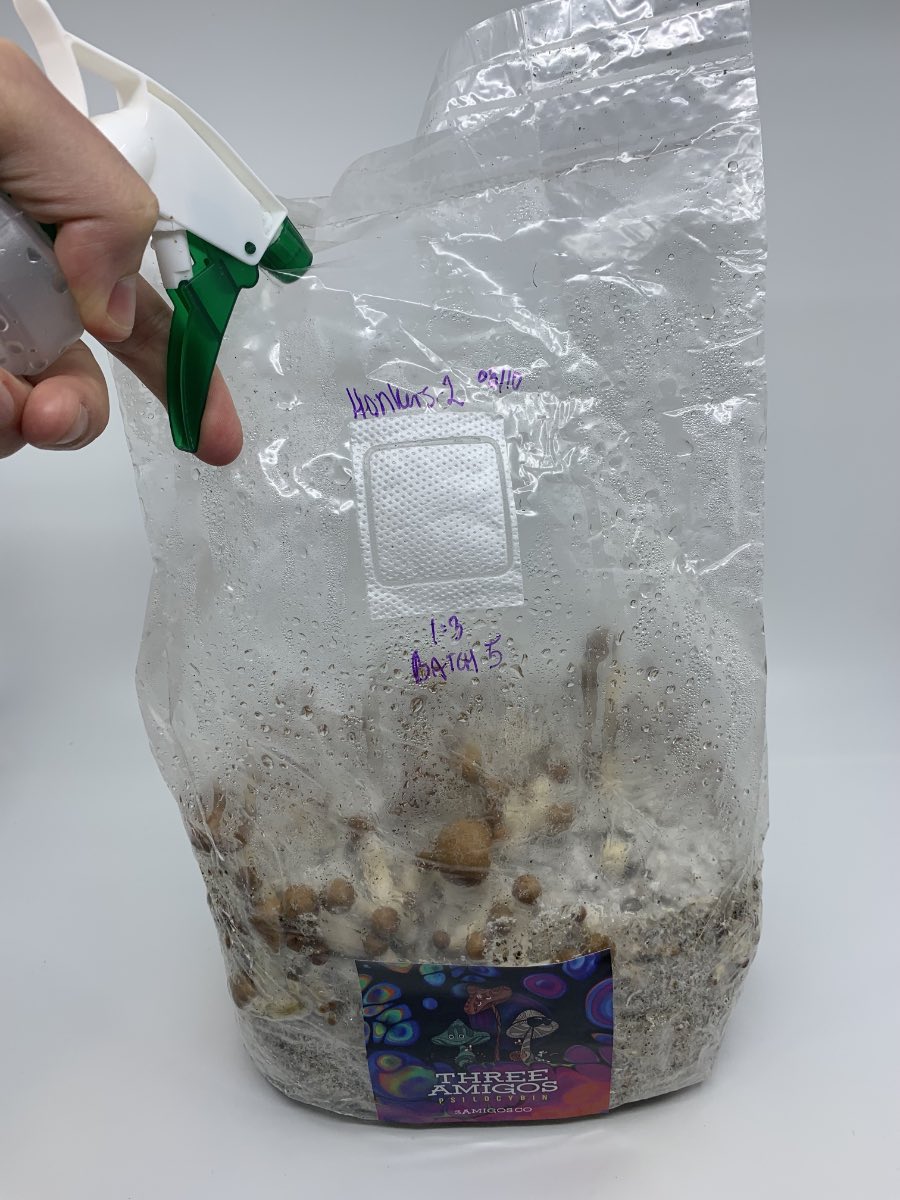 The Ultimate All-In-One Magic Mushroom Grow Kit in Canada! - Image 4