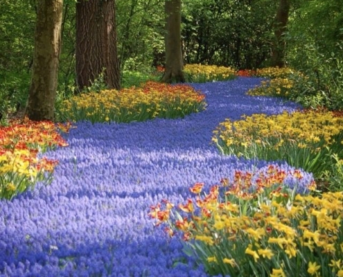 Halifax Public Gardens