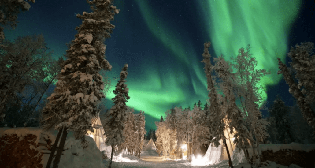 psychedelic mushrooms in Northwest Territories